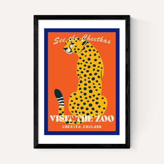 Zoo Cheetah