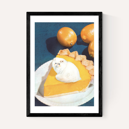 Lemon Meow Pie