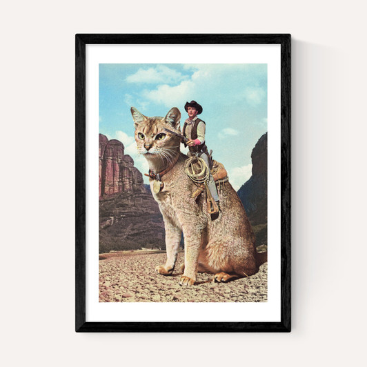 Cat Lone Ranger