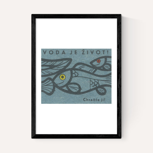 Fish Matchbox Label