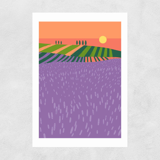 Lavender Fields