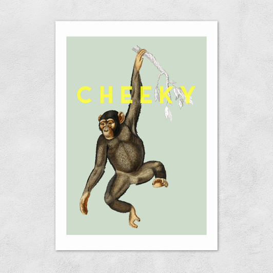 Cheeky Monkey