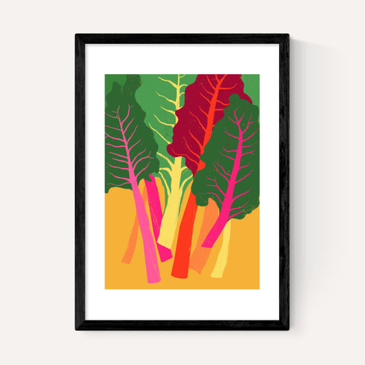 Rainbow Chard