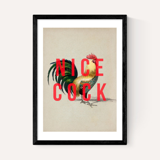 Nice Cock