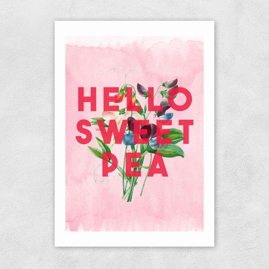 Hello Sweet Pea Unframed Print