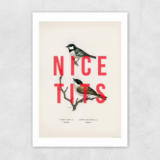 Nice Tits