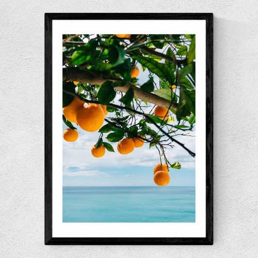 Amalfi Coast Oranges Medium Black Frame