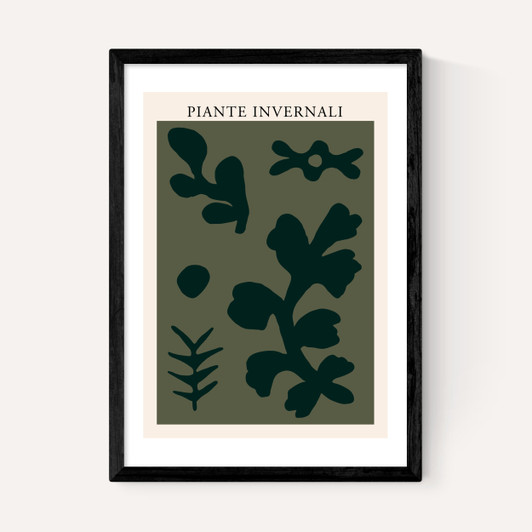 Piante Invernali Green