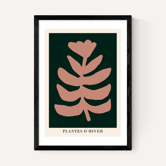 Plantes d'Hiver Green