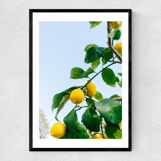 Amalfi Coast Lemons Narrow Black Frame