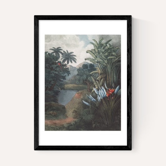 Tropical Lake