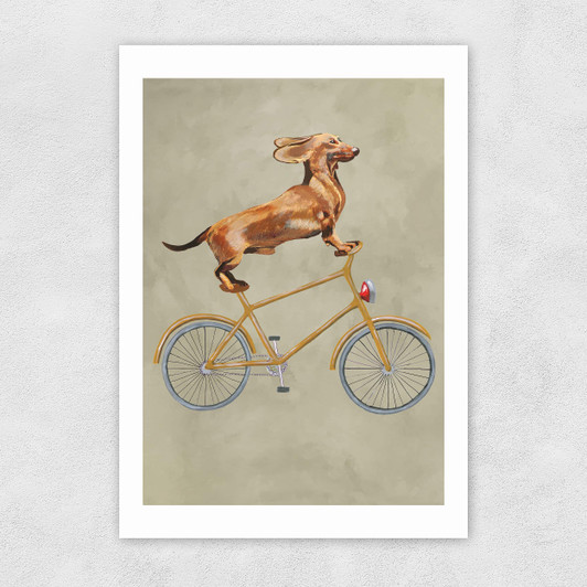 Dachshund On Bicycle