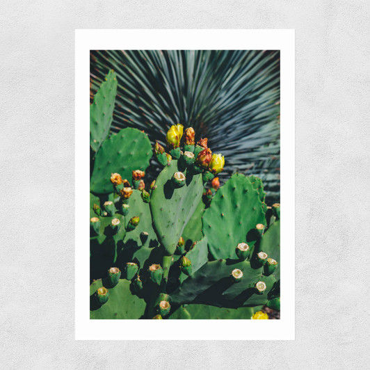 Wild Blooms Unframed Print