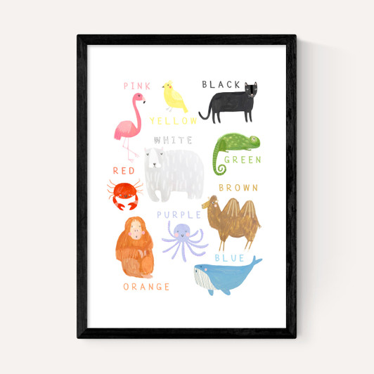 Animals