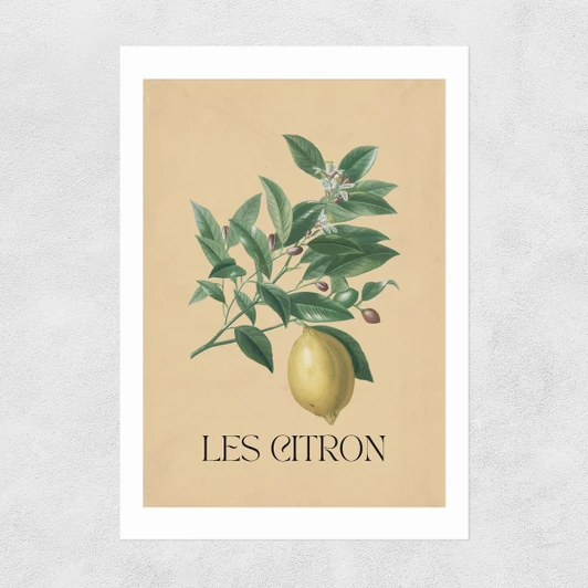 Les Citron