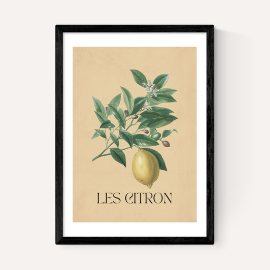 Les Citron