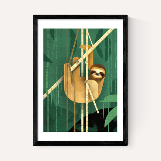 Sloth by Dieter Braun