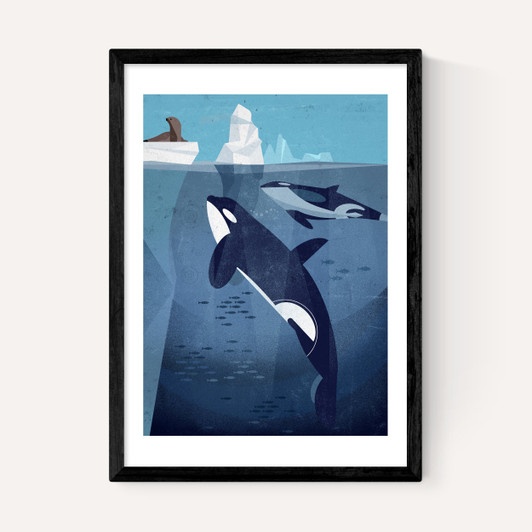 Orcas by Dieter Braun