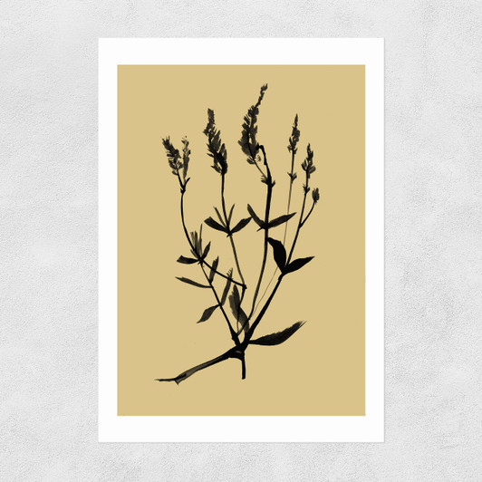 Mono Botanical 7 Unframed Print