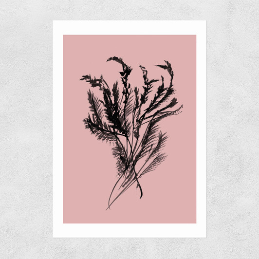 Mono Botanical 2