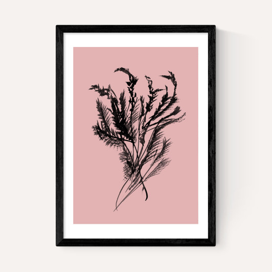 Mono Botanical 2