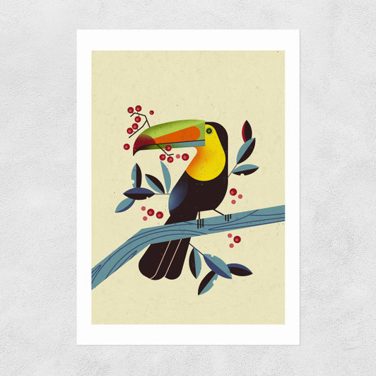 Toucan 2 by Dieter Braun