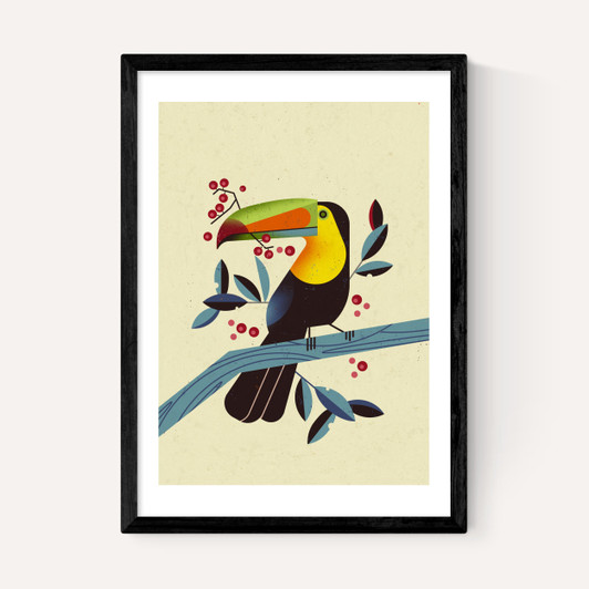 Toucan 2 by Dieter Braun