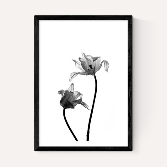 Iris by Honeymoon Hotel