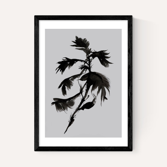 Mono Botanical 10