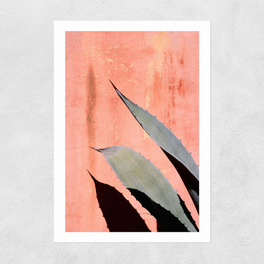Peach Cactus