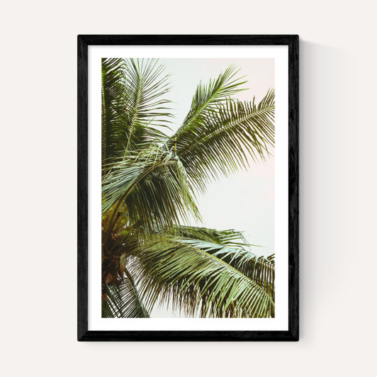 Palm Trees Above Me