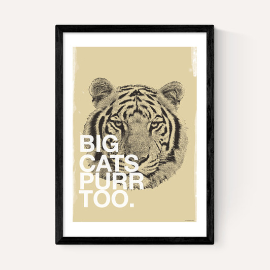 Big Cats Purr Too
