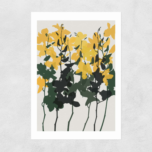 Orchids 7