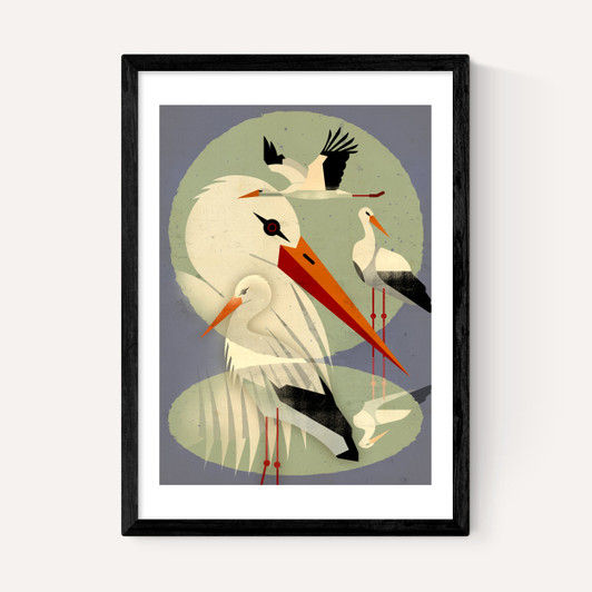 Storks