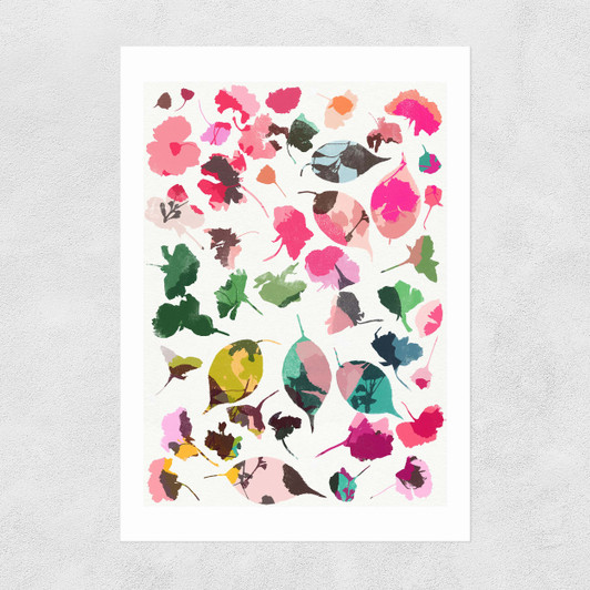 Cherry Blossoms 3 Unframed Print