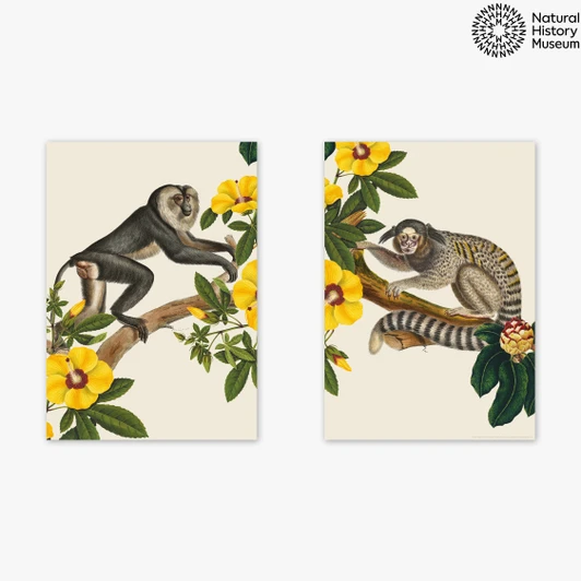 Monkey Diptych