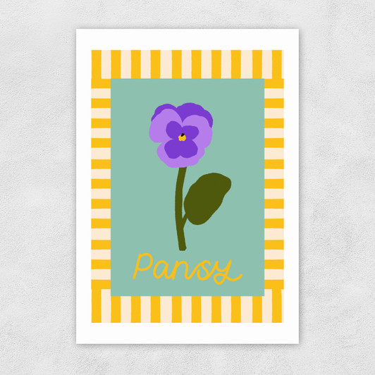 Pansy