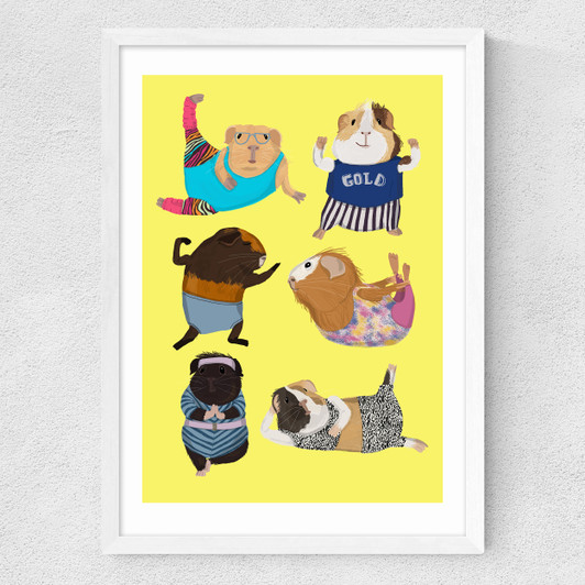 Guinea Pig Aerobic Medium White Frame