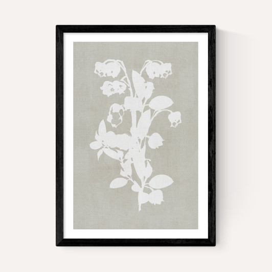 Botanical Illustration IV