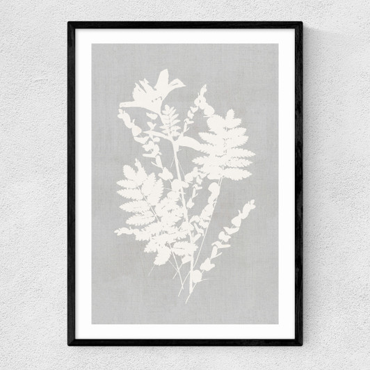 Botanical Illustration V Narrow Black Frame