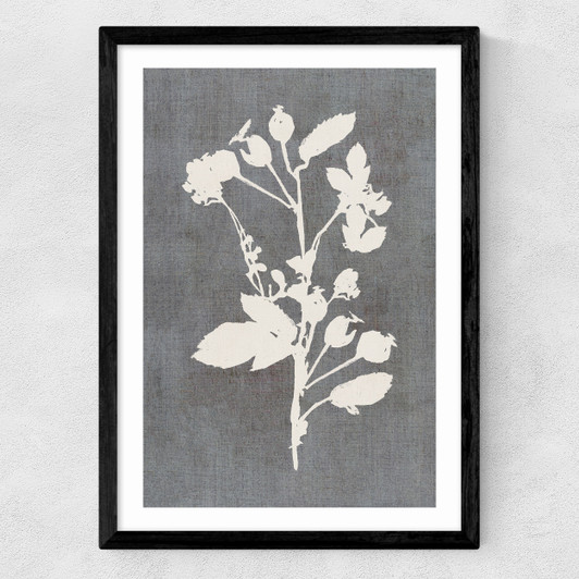 Botanical Illustration VI Medium Black Frame