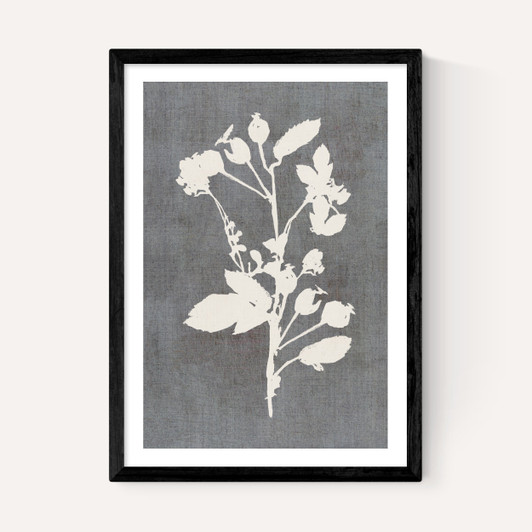 Botanical Illustration VI