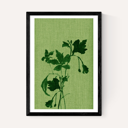 Terre Verte I