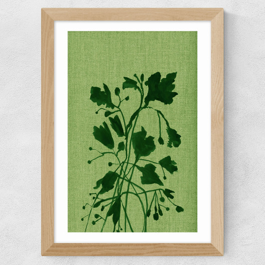 Terre Verte II Wide Oak Frame