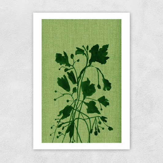 Terre Verte II