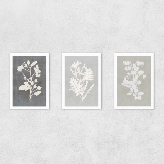 Botanical Illustration Triptych Unframed Print