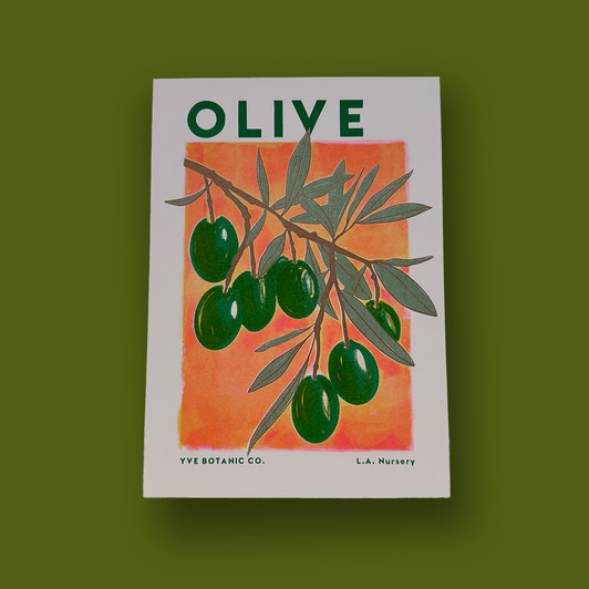 Olive by Eve Print Studio - Art Print - East End Prints Unframed Print
