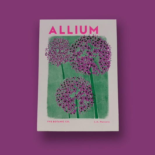 Allium by Eve Print Studio - Art Print - East End Prints Unframed Print