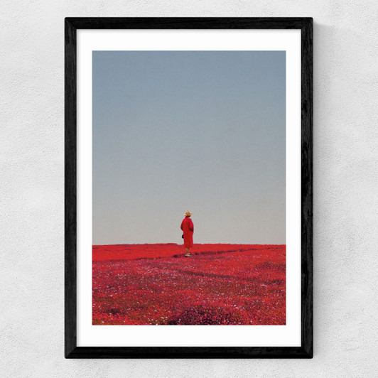 Everything Was Red Medium Black Frame