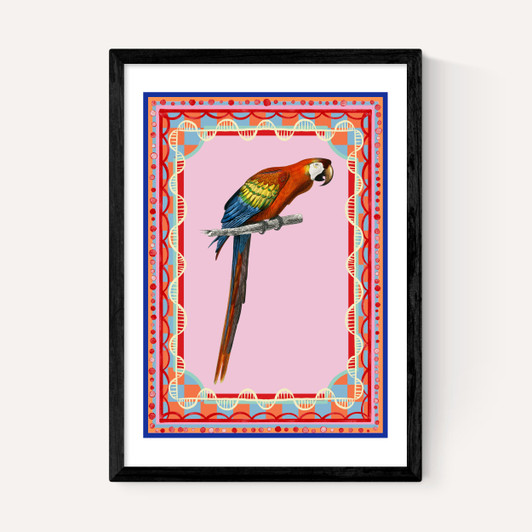 Birdframe Macaw